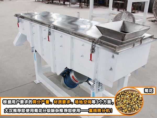 菊花直線自動(dòng)篩 菊花直線自動(dòng)篩