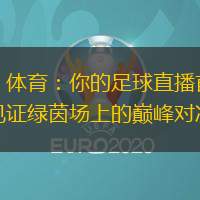 360 體育：你的足球直播首選，見證綠茵場上的巔峰對決