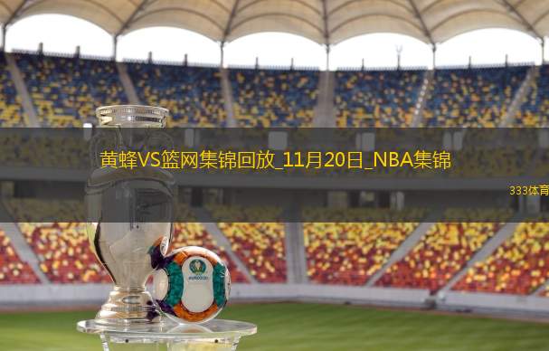 11月20日NBA東部NBA杯A組黃蜂-籃網(wǎng)精彩鏡頭