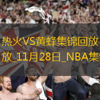 11月28日NBA常規(guī)賽熱火-黃蜂精彩鏡頭