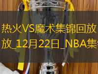 12月22日NBA常規(guī)賽熱火-魔術(shù)精彩鏡頭