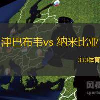 津巴布韋vs 納米比亞(非洲杯)