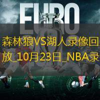 2024年10月23日NBA常規(guī)賽森林狼vs湖人