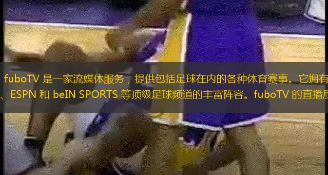 fuboTV：fuboTV 是一家流媒體服務(wù)，提供包括足球在內(nèi)的各種體育賽事。它擁有來自英國天空體育、ESPN 和 beIN SPORTS 等頂級(jí)足球頻道的豐富陣容。fuboTV 的直播質(zhì)量可靠，并且