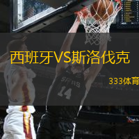 西班牙VS斯洛伐克