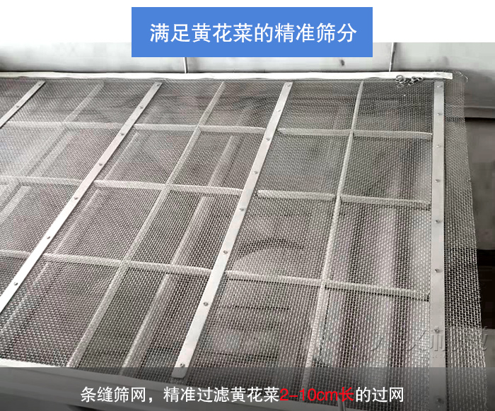 黃花菜直線(xiàn)振動(dòng)篩