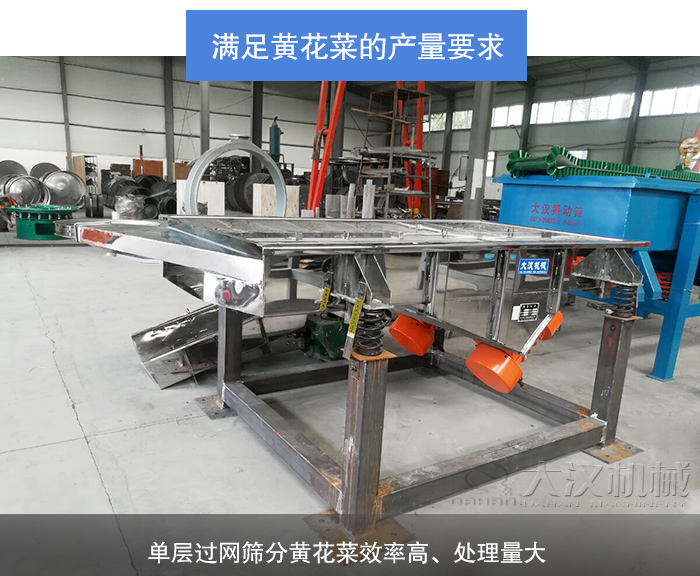 黃花菜直線(xiàn)振動(dòng)篩